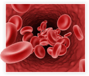 ProstaVive – Powerhouse Prostate