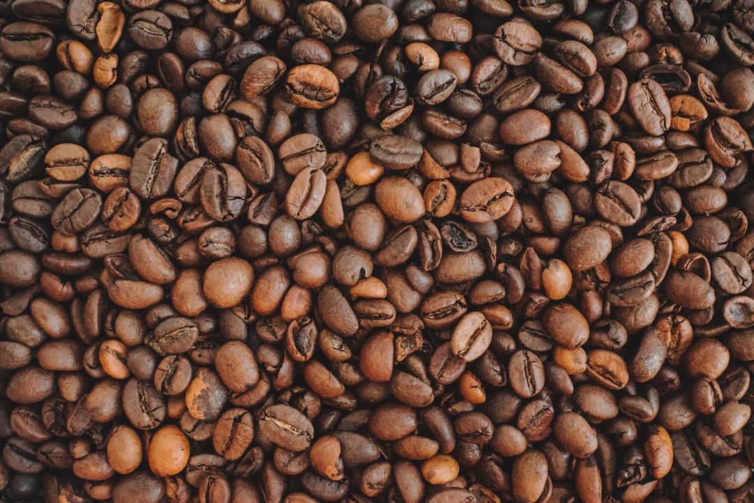 Best Java Burn Coffee Tips for Beginners – 2026 Guide