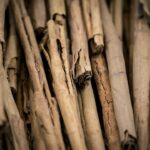 cinnamon sticks for cinnamon blood sugar support