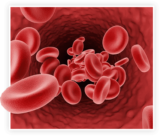 ProstaVive – Powerhouse Prostate